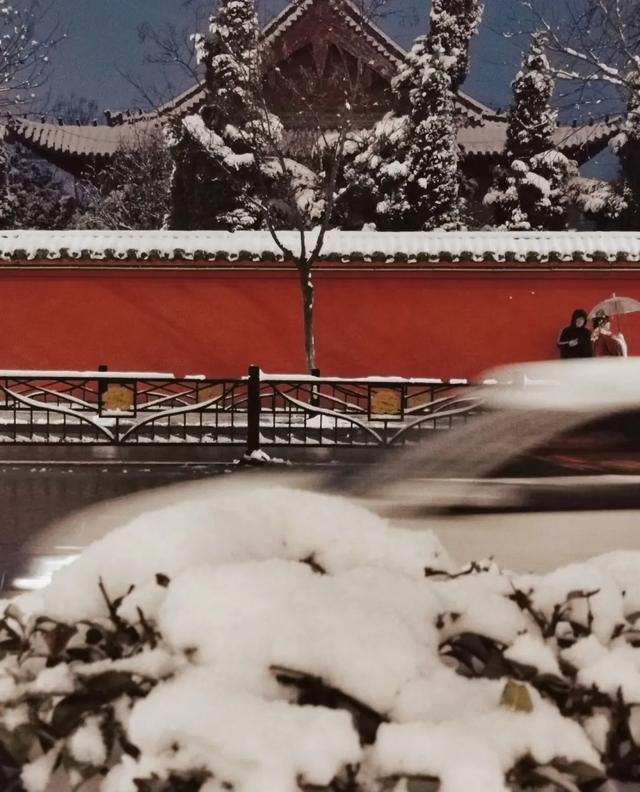 即将下雪!雪后的洛阳这么拍!8个超美打卡点...