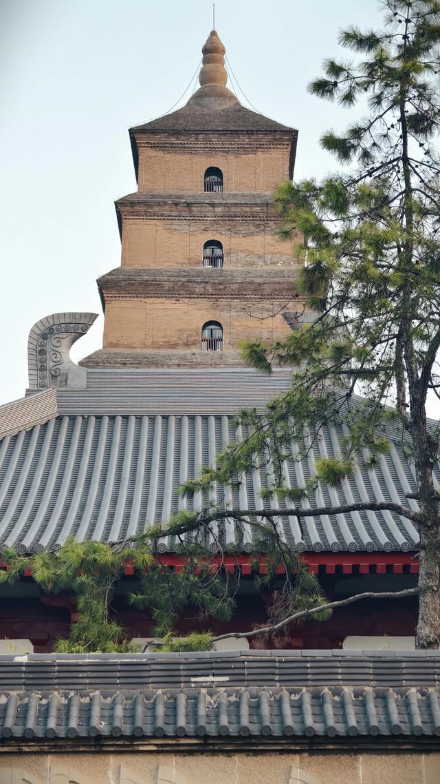 三见长安记