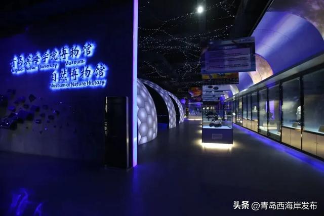 “冬游西海岸”！5条热门线路等你来🤩