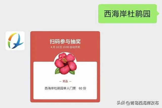 免费送票！西海岸这片杜鹃花海美到心坎上了