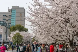 这两所985大学中外合作专业性价比高，学费21000-40000，可降16分图片