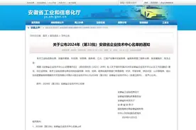 中环新能（安徽）先进电池制造有限公司荣获安徽省企业技术中心认定图片