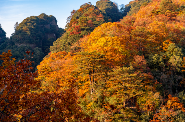 广元不远 周末优选 | 秋天的第一场旅行，坐高铁来广元“晒”秋吧！