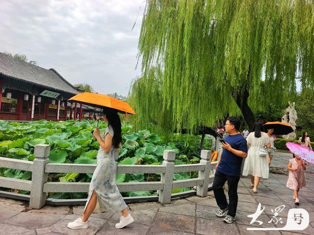明湖垂柳曼妙多姿 游人如织景致如画