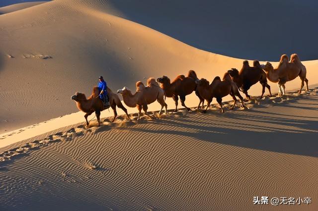 一个人旅行太惨了？不！这才是顶级享受，更适合内向的人