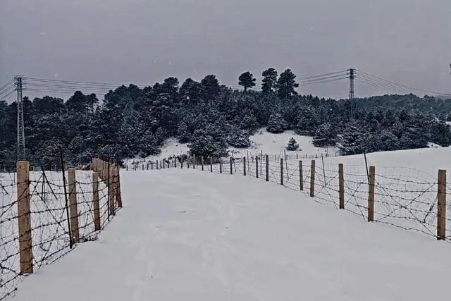 今天，丽江下雪啦