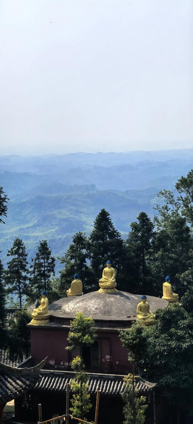 从乾龙湖的蝉声到灵音寺的禅声