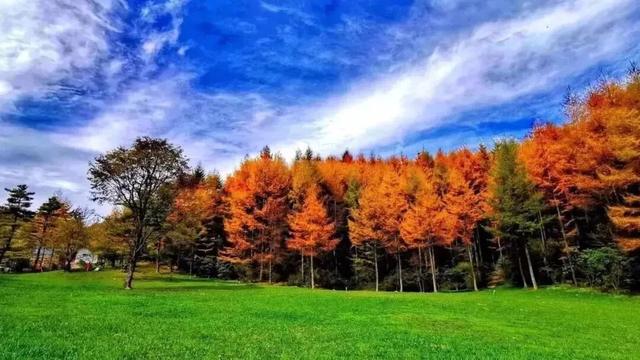 广元不远 周末优选 | 秋色短暂，曾家山赏秋路线来啦！