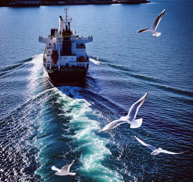 参观夏杰拉高地