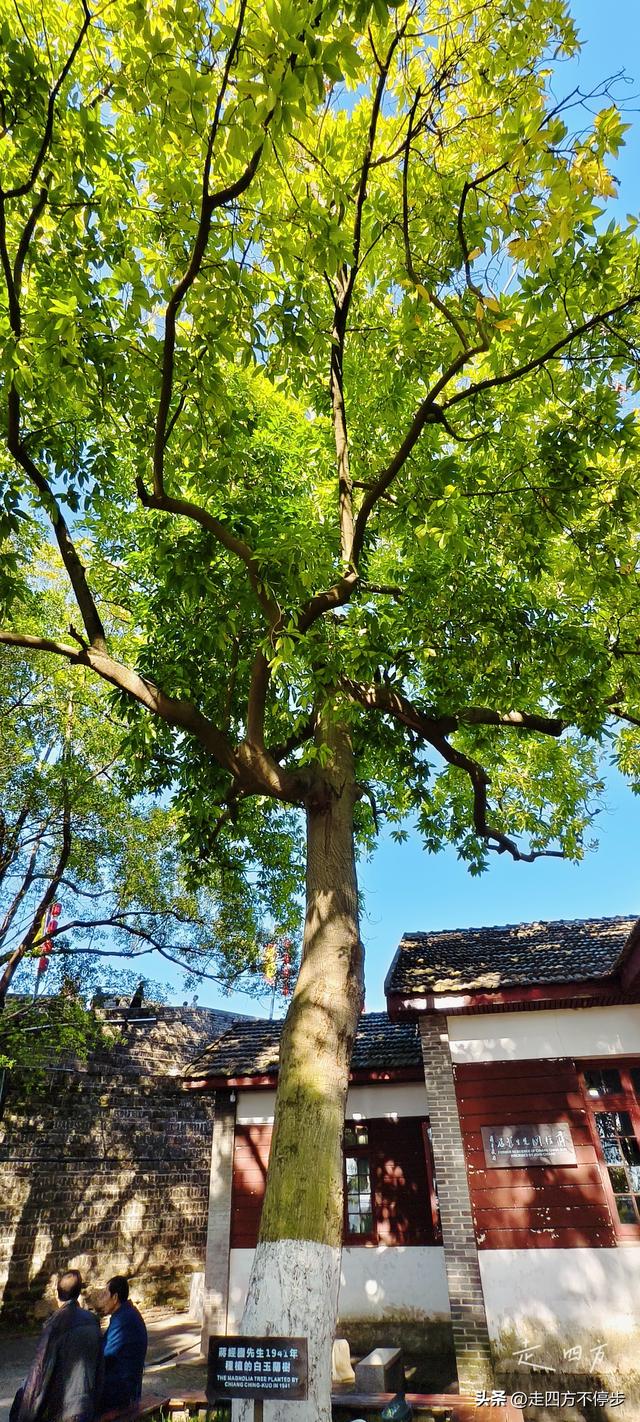 初遇赣州老城：千年古城的惊鸿一瞥