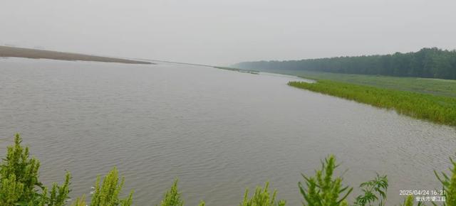 陈仓：我的上海