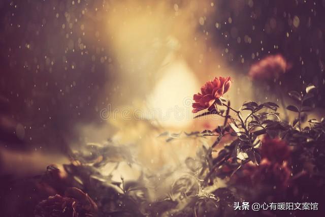 不容易被备注掉的网名，伤感网名微信抖音昵称，哪个入了你的心？