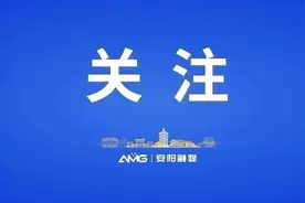 义务教育阳光招生！安阳各县（市、区）咨询电话、投诉方式一览图片