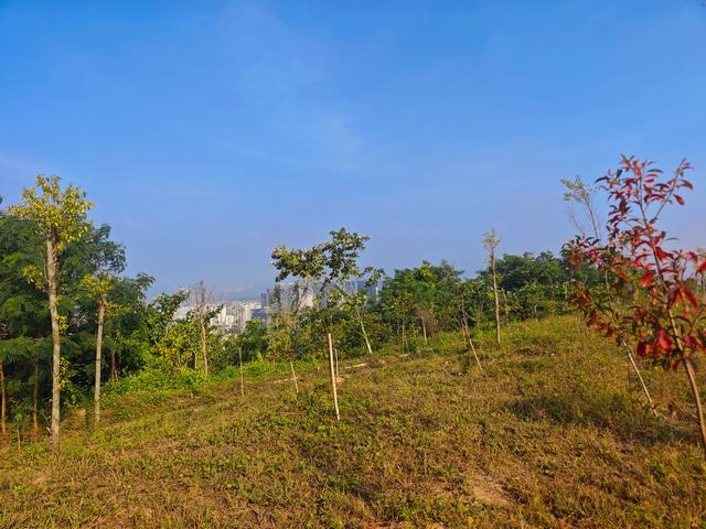 塘朗山郊野公园火车道口与绿平二路段，爬坡酸爽，骑友的天堂