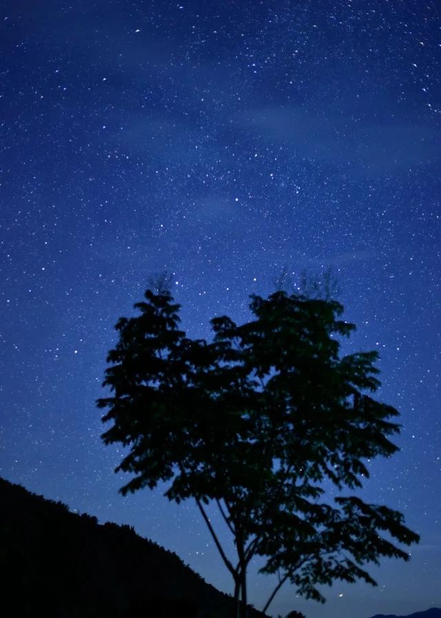 收藏备用！七夕岳阳观星地图新鲜出炉，浪漫不跑空