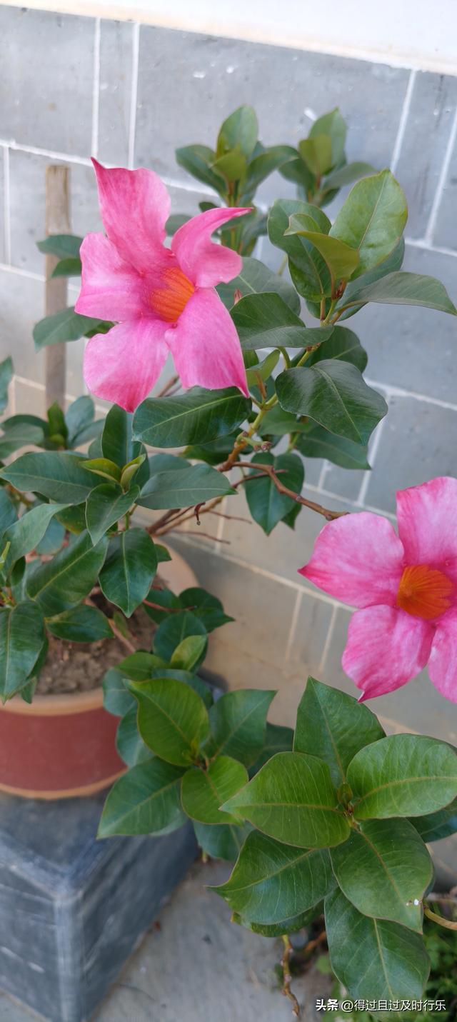 婺源游记-01慢品人间烟火