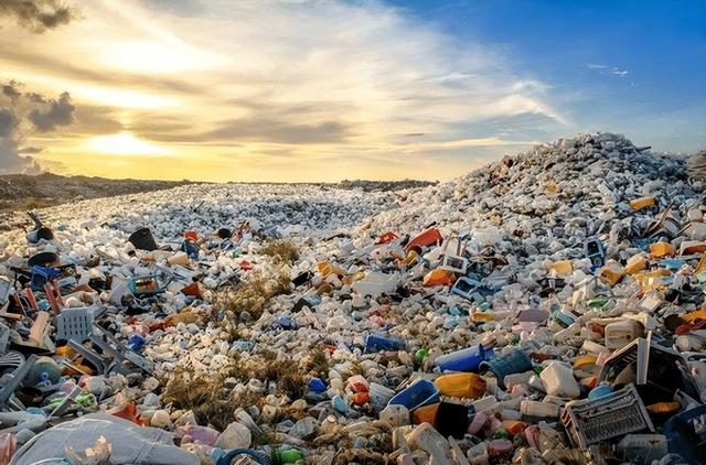 多国损失高达百亿，联合要求中国废除禁令，温铁军：轮不到你发言