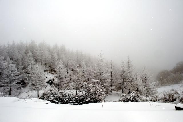 重庆开州雪宝山风景那么美，为何不进行旅游开发？