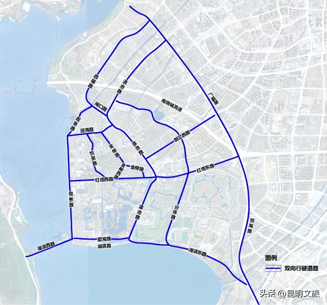 不止大坝！昆明观鸥最全热门+小众点位收录＊附核心区交通指南
