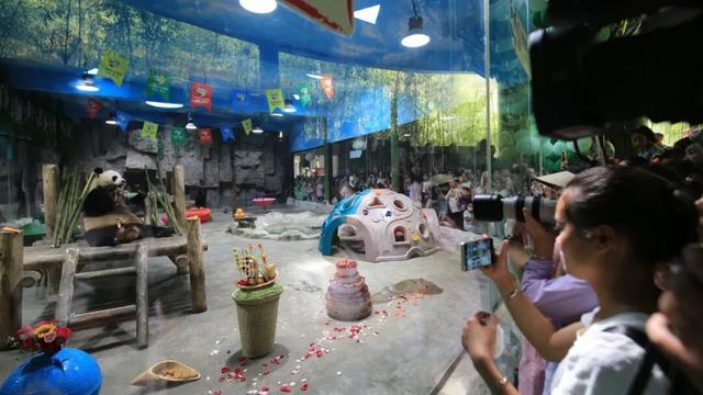 “特种兵”旅行降温，河南流行起“情绪旅游”