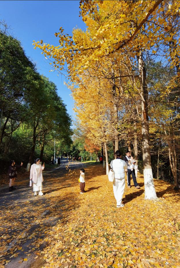 冬日暖阳下，打卡贵阳观山湖公园的绝美风景