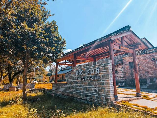 骑行赏枫、古村寻秋……被祁门的「枫景」治愈啦！| 皖美秋日