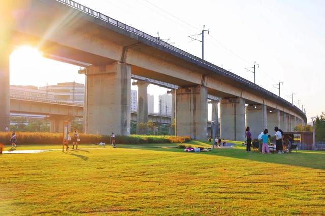 三条高铁并行！桥下还有“宝藏”，等你发现！