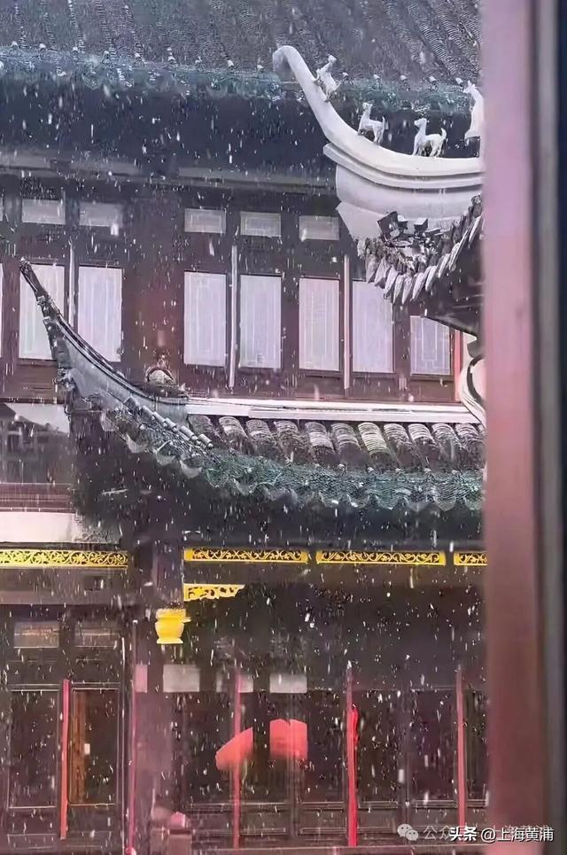 雪落豫园，绘就江南诗意画卷