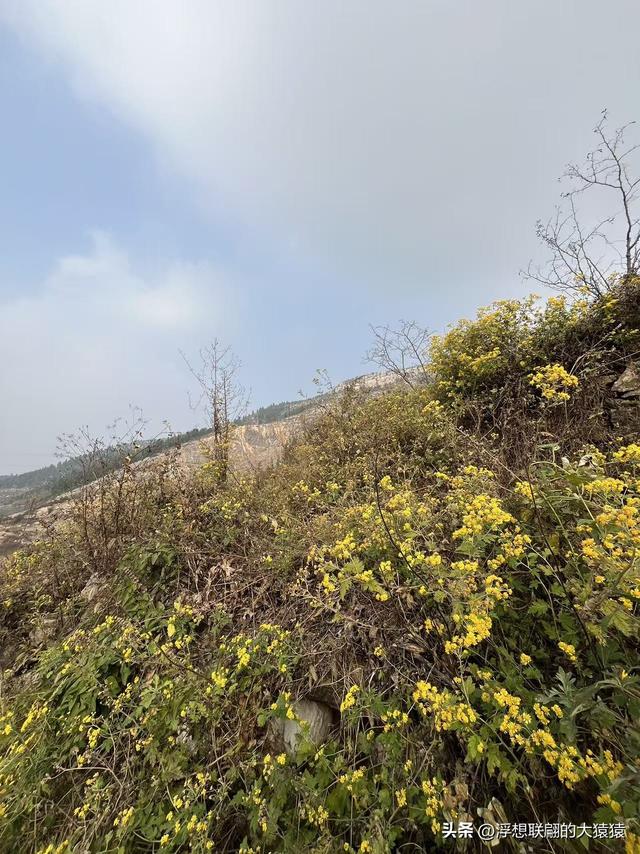老姑峪的大寨没寻着，误打误撞跑去了张家台的麒麟寨（莱芜游）