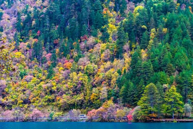 迎接妇女节！多地景区面向女士免费→