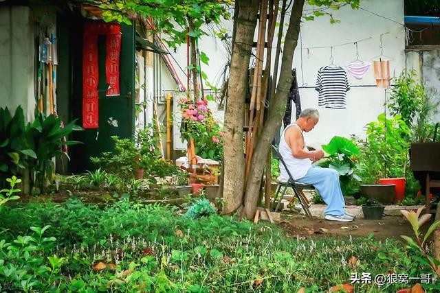 越来越多老人独居，其实最该准备的不是钱，而是这几样东西