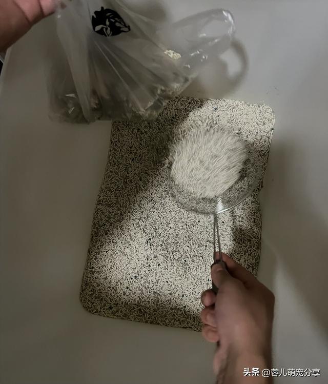 妹子去买饺子，突然发现铲饺子的铲子很眼熟，养猫人看了都沉默了