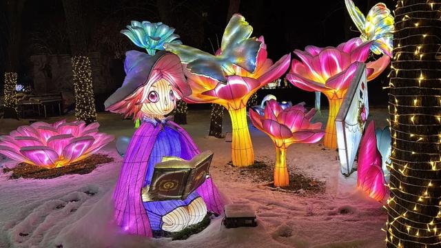 @所有人 1月24日解锁全场景年味！“2026年京彩新春彩灯嘉年华”即将一键焕新！