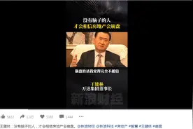 王健林：谁要信中国房地产崩盘，就是脑袋有问题，可能是这两种人图片