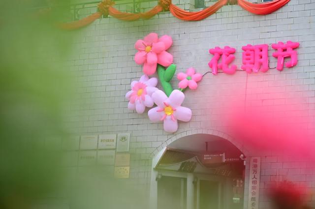 东莞观音山4月15日首日实况直击！欢迎东莞人民🤩共赏春光！