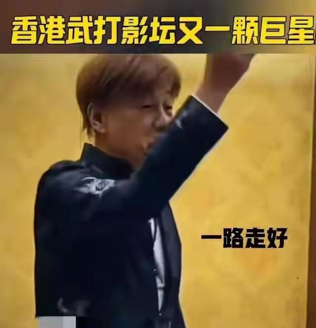 陈光标怒撕遮羞布：梁小龙哪里是病死，分明是被折腾死的！