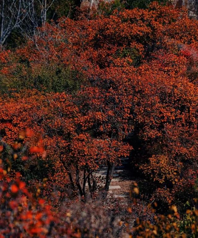 【文明旅游】太原：邂逅天龙山秋色，坐拥山水人文