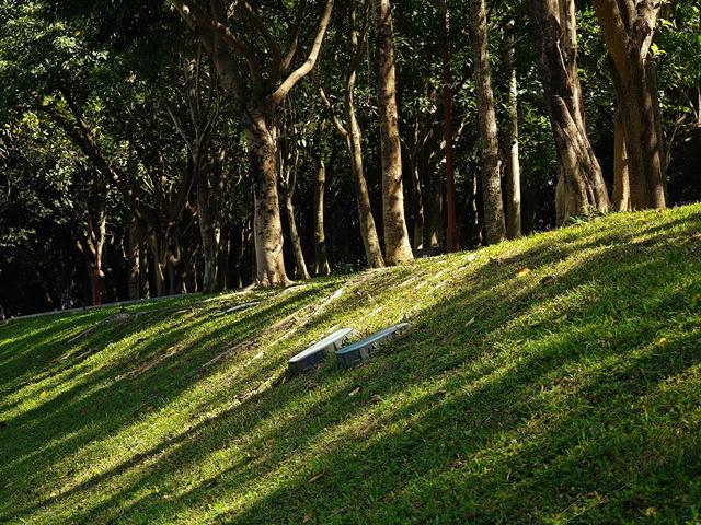 从学苑大道入大沙河绿过大学城后进深圳弯公园流花山景点【高清】