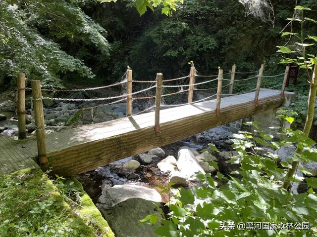 九月的黑河，一半是山野的绿意，一半是秋天的凉风