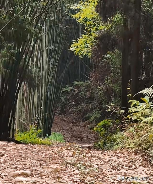 彭州人私藏的精品徒步路线，没有拥挤的人潮，可以吃斋饭！