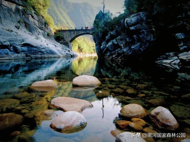 秋意漫染黑河，清风轻吟，邂逅一场如诗的秋日美景