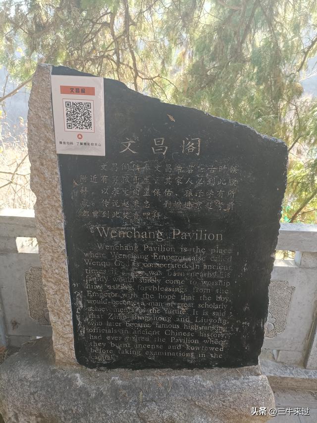 无为在歧路，免费仰天山