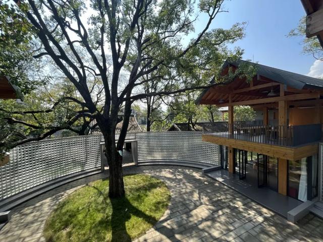 收好始兴这条线路，一天玩转艺术、古村与落羽杉，追一场岭南最绚烂的秋！