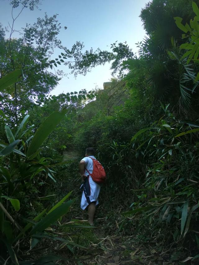 重庆北碚有座龙头山，山上有座400多年的明代老庙，叫“观音堂”