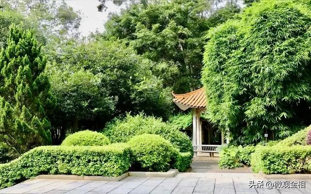 一年四季都可以去打卡的城市绿州麓湖
