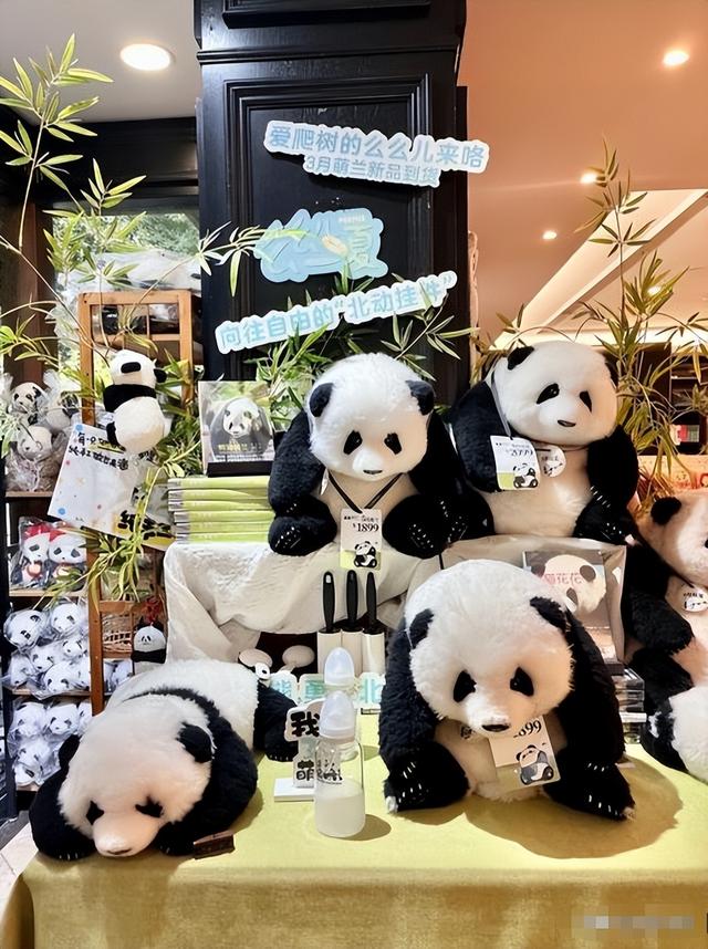 没有回旋余地，中国下令直接收回，17万日本人泪奔，高市闯祸了！