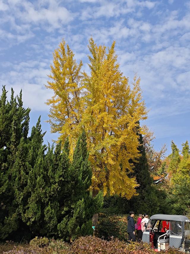 郑州人民公园还藏着一处河南省文保单位——彭公祠