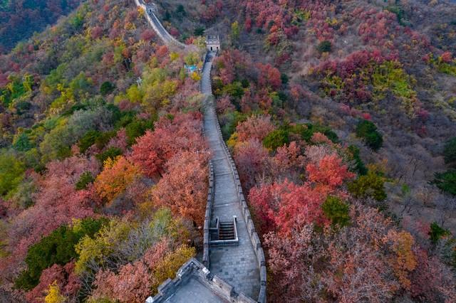 长城之秋，在这里燃成烈焰！这5处红叶秘境，藏着最壮丽的北国