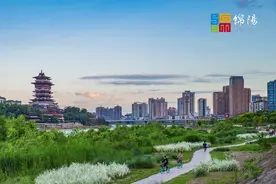绵阳+5！享受国务院政府特殊津贴图片