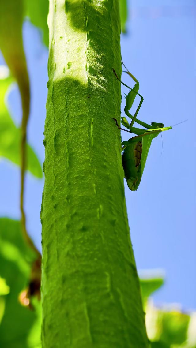 国家对8大扶持产业曝光，普通人不用靠大资本就能蹭上红利！